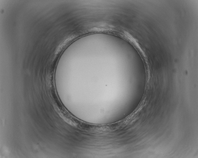 X0000075370106200609080841