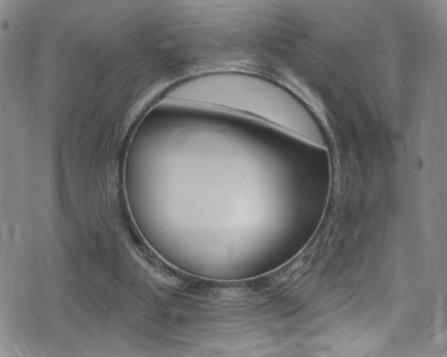 X0000075370107200609080841