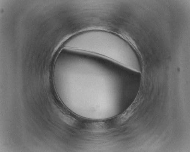 X0000075370108200609080841
