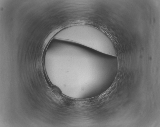 X0000075370147200609080840