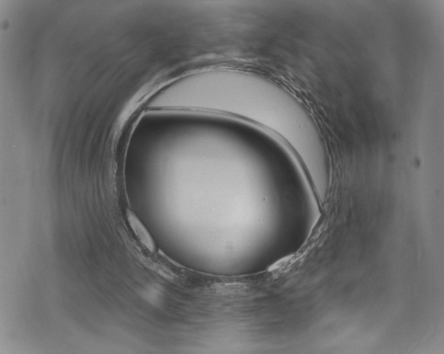 X0000075370150200609080840