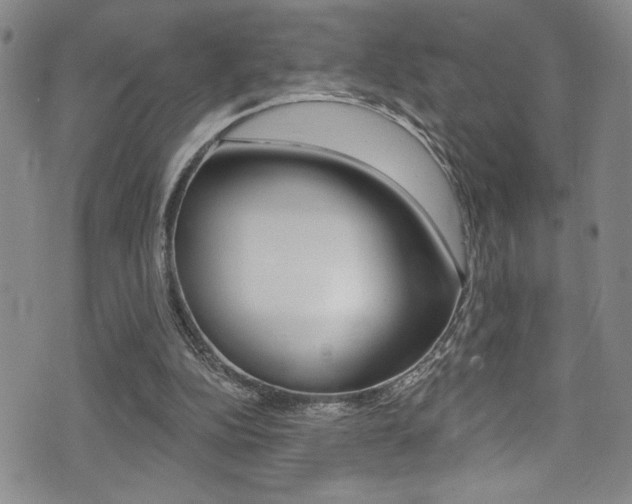 X0000075370152200609080840