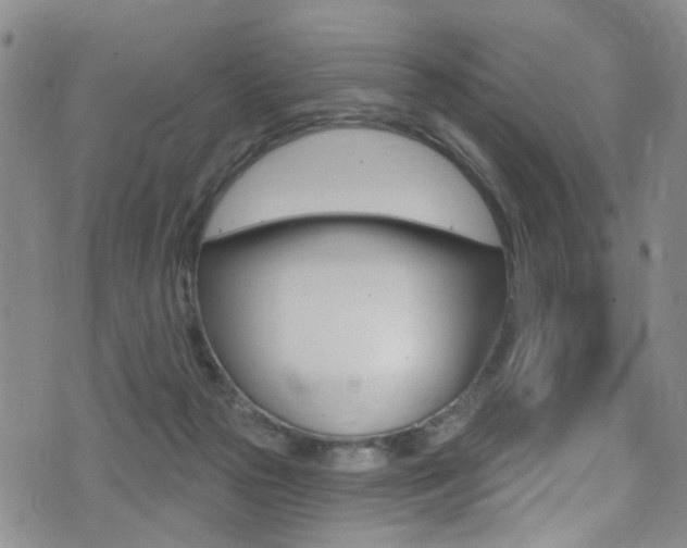 X0000075370169200609080840