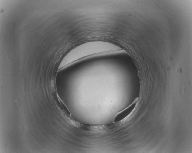 X0000075370192200609080841