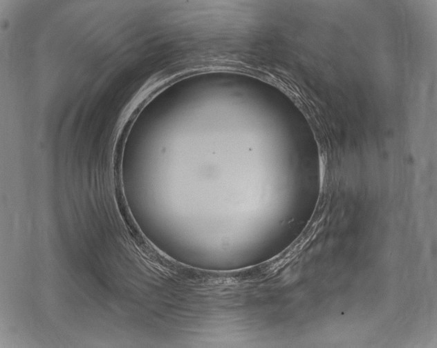 X0000075370195200609080840