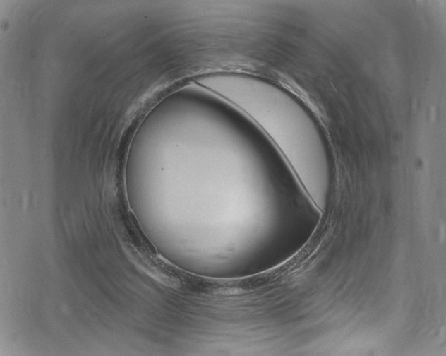 X0000075370203200609080840