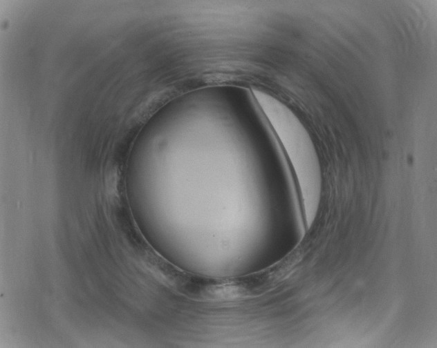 X0000075370219200609080839