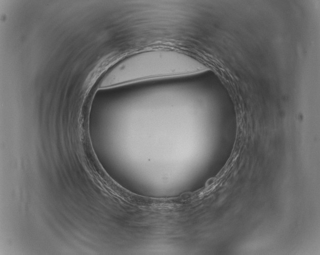 X0000075370242200609080838
