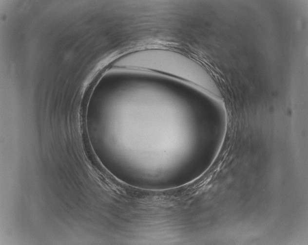 X0000075370244200609080838