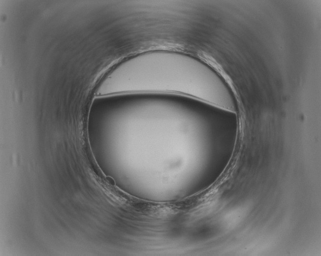 X0000075370249200609080838