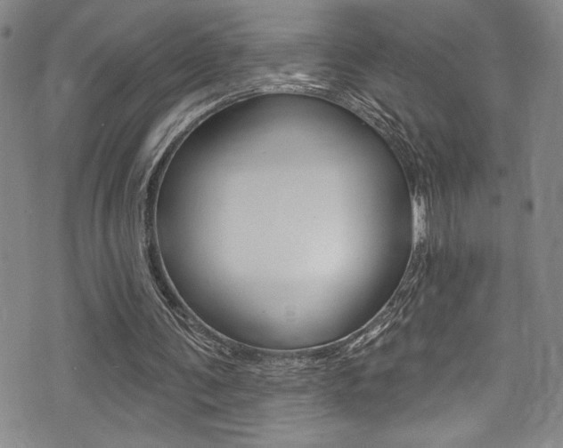 X0000075370291200609080838