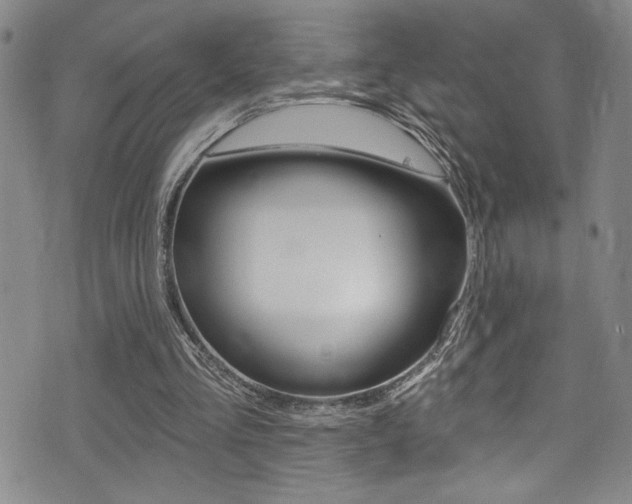 X0000075370293200609080838