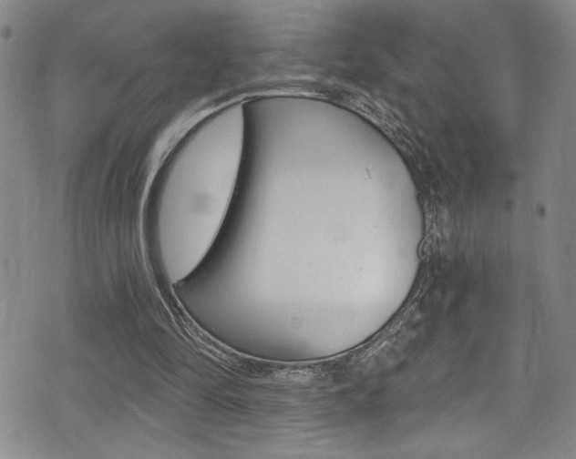 X0000075370294200609080838
