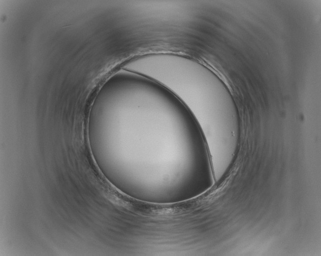 X0000075370301200609080838