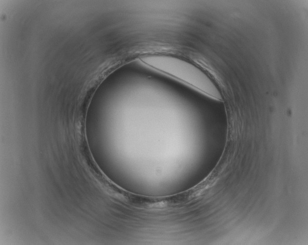 X0000075370309200609080838