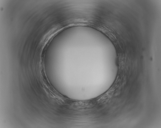 X0000075370338200609080837