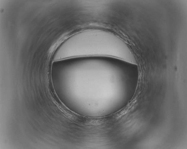 X0000075370341200609080837