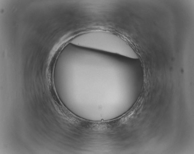 X0000075370343200609080837