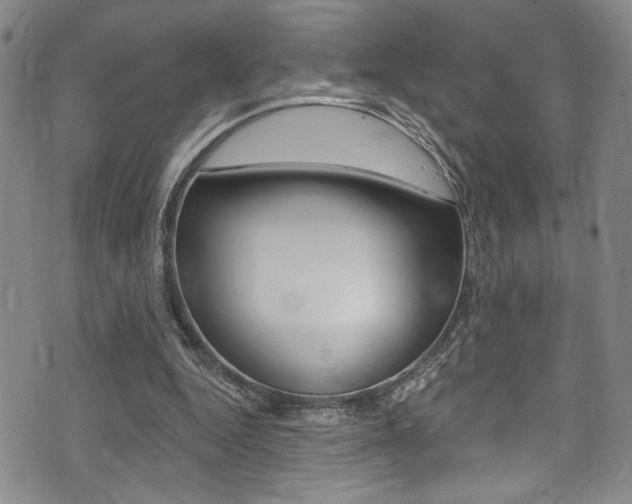 X0000075370344200609080837