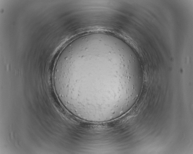X0000075370347200609080837