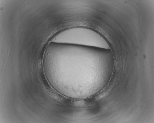X0000075370355200609080837