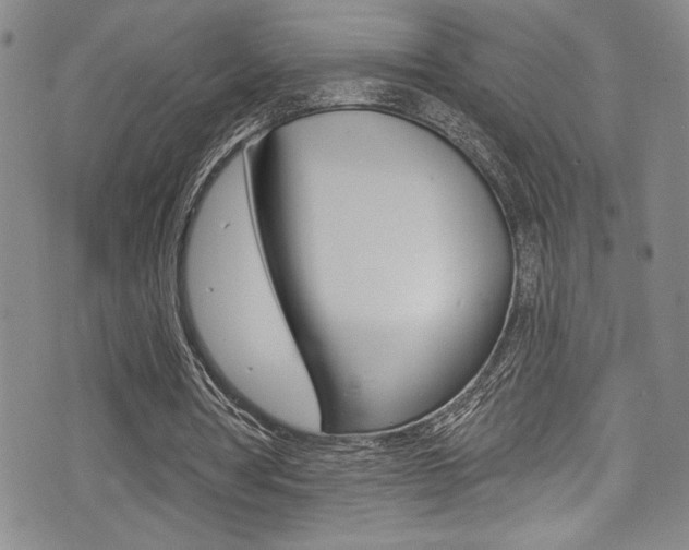 X0000075370386200609080837