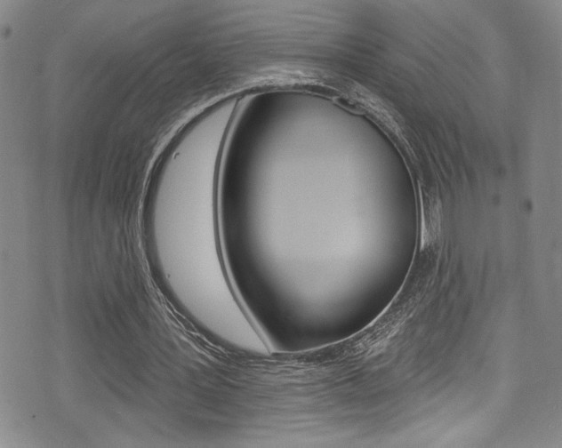 X0000075370387200609080837