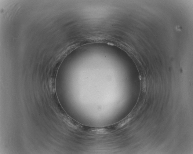X0000075370428200609080836
