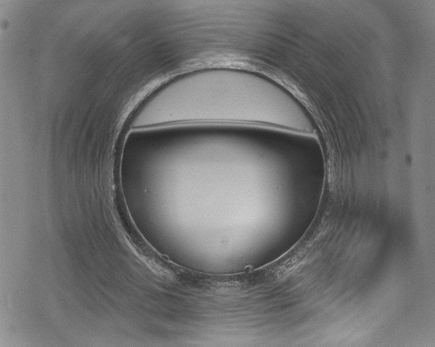 X0000075370438200609080835