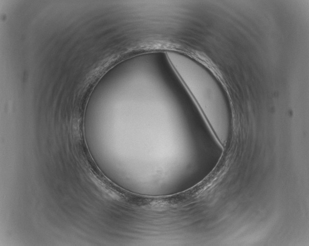 X0000075370441200609080835