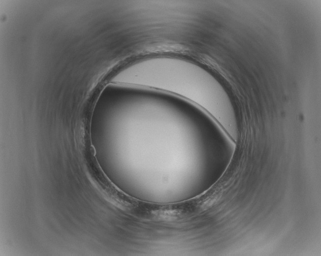X0000075370448200609080835