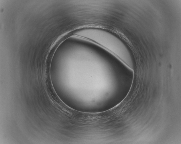 X0000075370484200609080835
