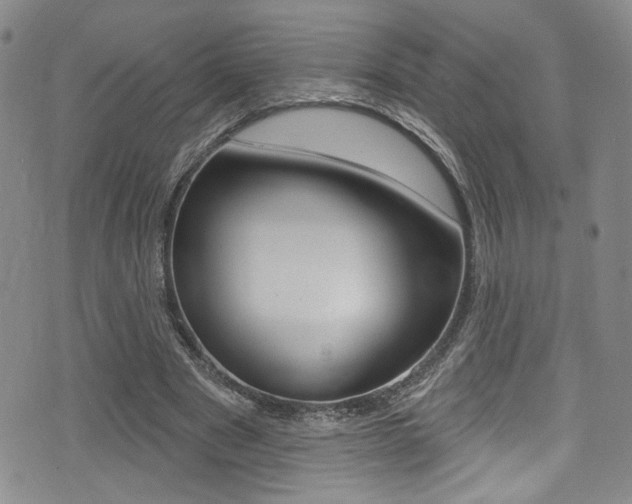 X0000075370489200609080835