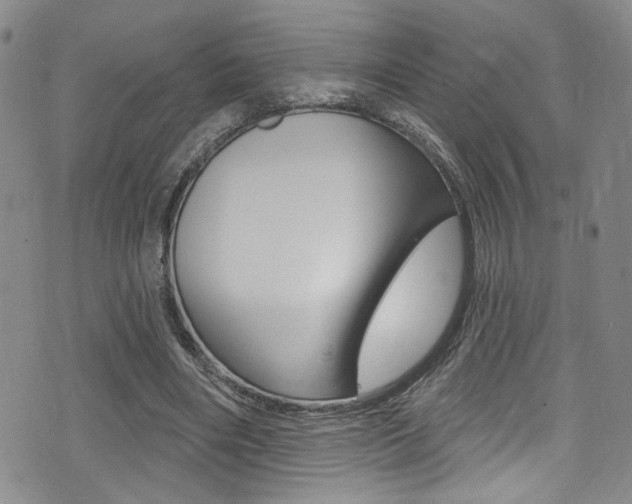 X0000075370490200609080835