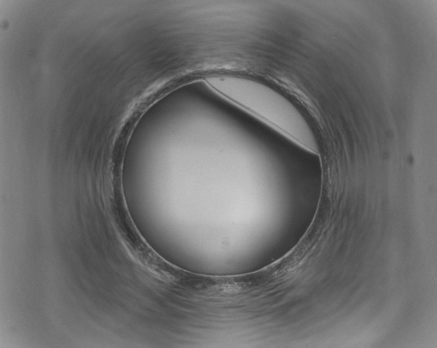 X0000075370492200609080835