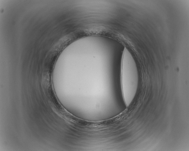 X0000075370498200609080835