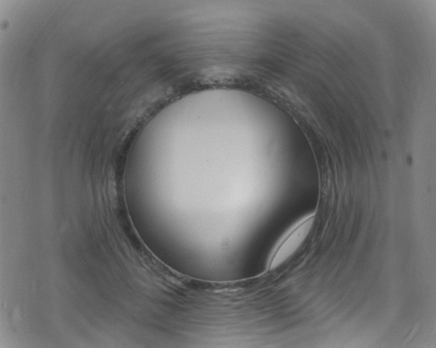 X0000075370508200609080835