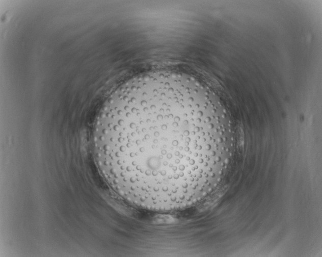 X0000075370519200609080834