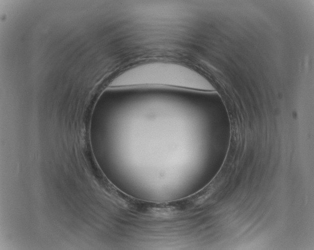 X0000075370556200609080834
