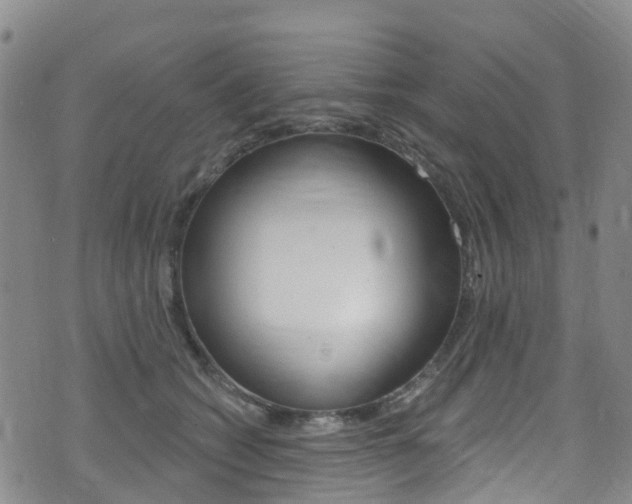 X0000075370562200609080834