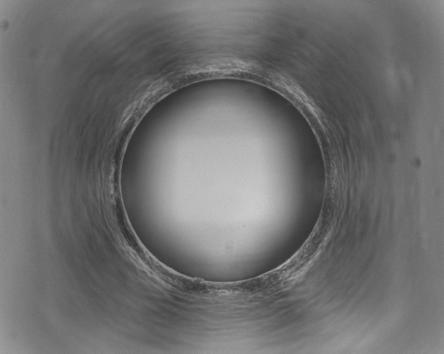 X0000075370585200609080833