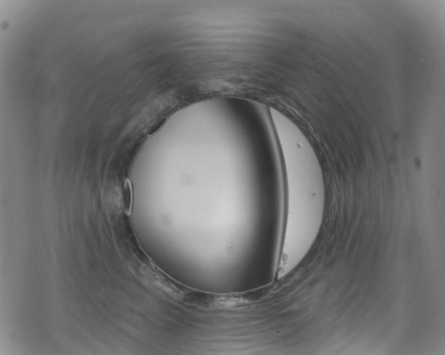 X0000075370617200609080833