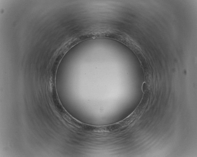 X0000075370644200609080832