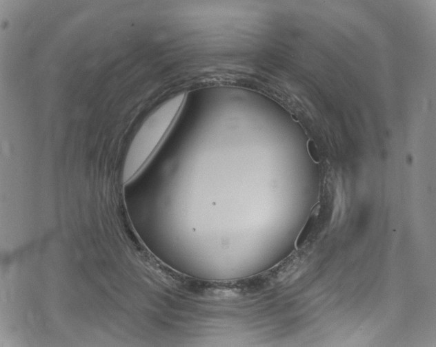 X0000075370649200609080832