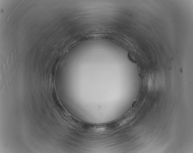 X0000075370651200609080832