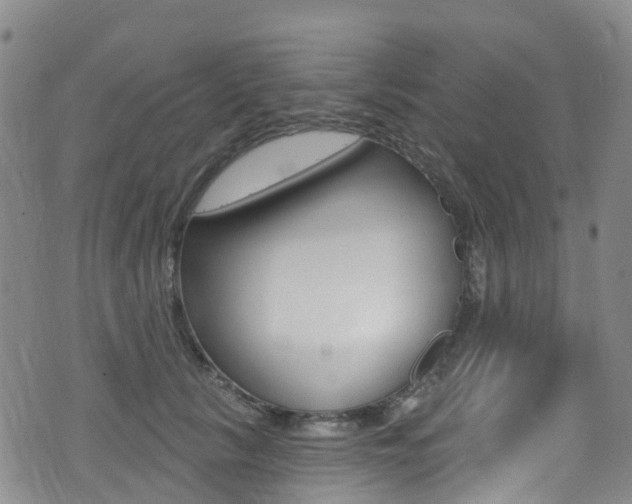 X0000075370657200609080832