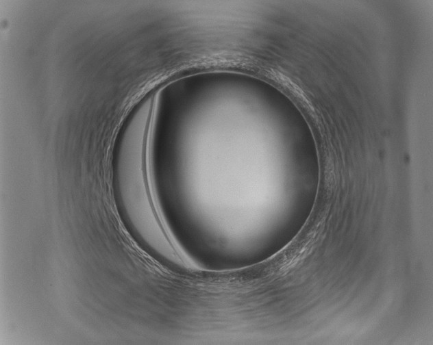 X0000075370673200609080832