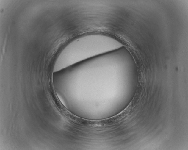 X0000075370687200609080832