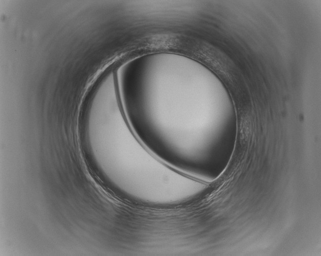 X0000075370722200609080830