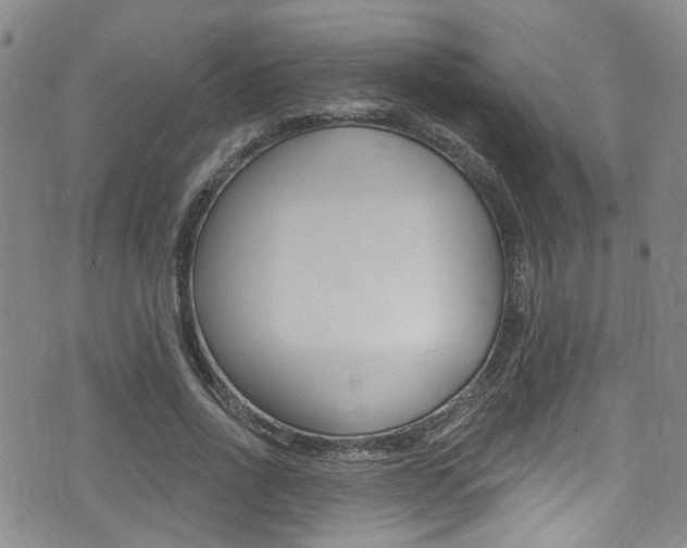 X0000075370734200609080831